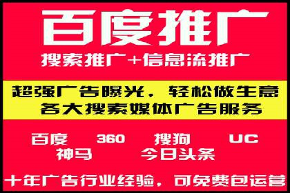 某行业领军企业的SEM广告投放策略